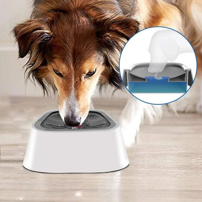 💧 HydroPup™ – Hidrata Sin Derrames, Cuida Sin Esfuerzo