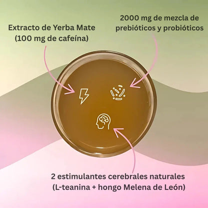 Yerba Magic™ - Cápsulas De Yerba Mate I 60  Cápsulas