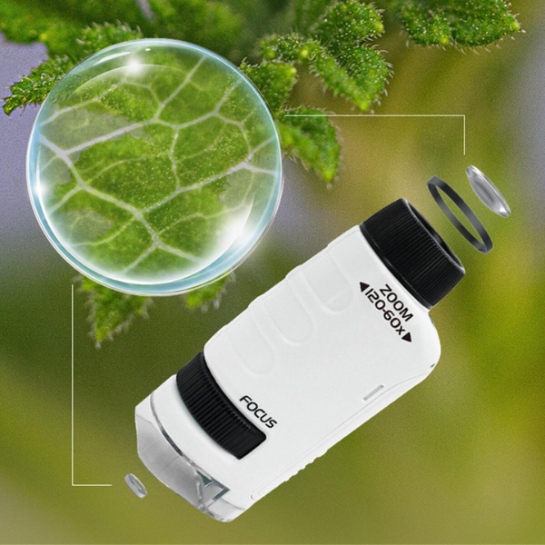 MicroVision™ Microscópio Portátil Descubre un Nuevo Mundo  - [PROMOCIÓN DISPONIBLE SOLO HOY]