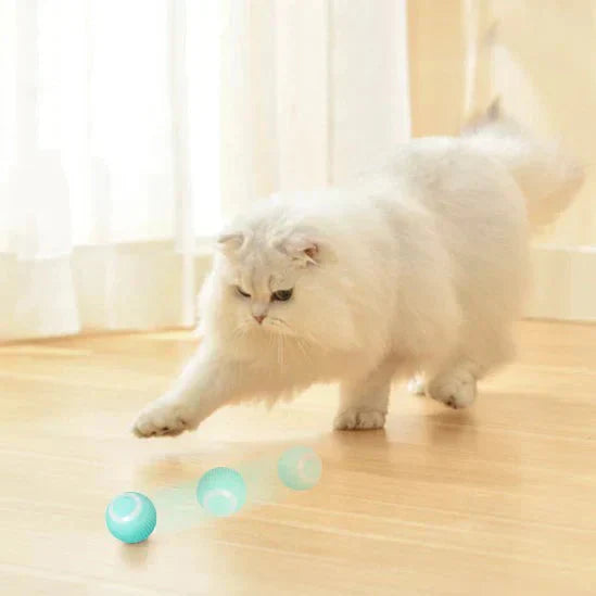 PowerBall™ Pelota Inteligente para Gatos - [PROMOCIÓN DISPONIBLE SOLO HOY]