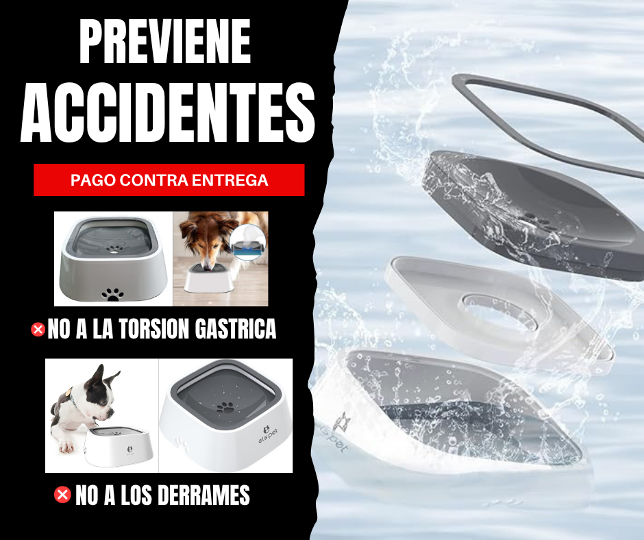 💧 HydroPup™ – Hidrata Sin Derrames, Cuida Sin Esfuerzo