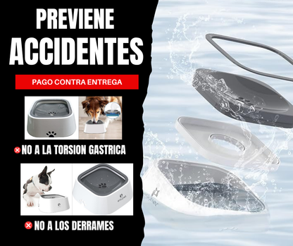 💧 HydroPup™ – Hidrata Sin Derrames, Cuida Sin Esfuerzo