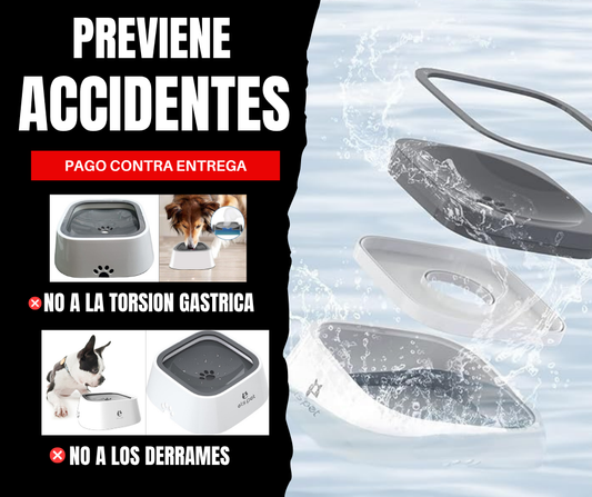 💧 HydroPup™ – Hidrata Sin Derrames, Cuida Sin Esfuerzo