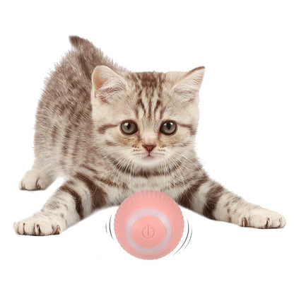 PowerBall™ Pelota Inteligente para Gatos - [PROMOCIÓN DISPONIBLE SOLO HOY]