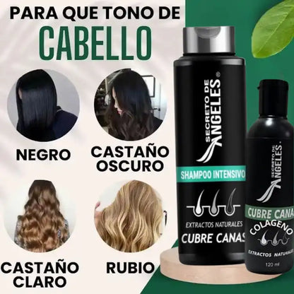 Ángeles Secret™ Pack – Shampoo Cubre Canas + Colágeno + Exfoliante - [PROMOCIÓN DISPONIBLE SOLO HOY]